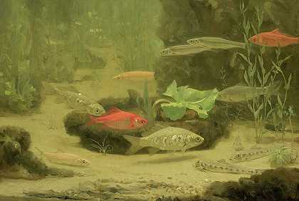 水族馆里的金鱼和银鱼`Gold and Silverfish in an Aquarium by Gerrit Willem Dijsselhof