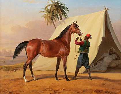展示一匹阿拉伯马`Showing an Arabian Horse by Horace Vernet