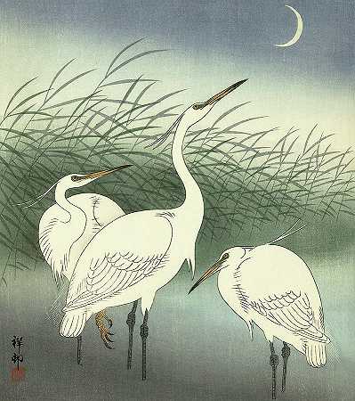 浅海中的苍鹭`Herons in shallow water by Ohara Koson