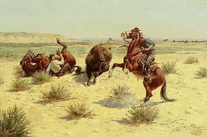 水牛袭击`Buffalo Attack by Herman W Hansen