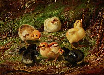 小鸡，1864年`Chicks, 1864 by Arthur Fitzwilliam Tait