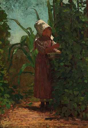 豆子采摘者，1876年`The Bean Picker, 1876 by Winslow Homer