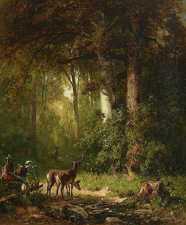 灌木丛中的鹿，1892年`Deer in a Thicket, 1892 by Thomas Hill