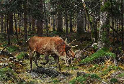 森林林间空地上的鹿，1912年`Deer in a Forest Glade, 1912 by Richard Friese