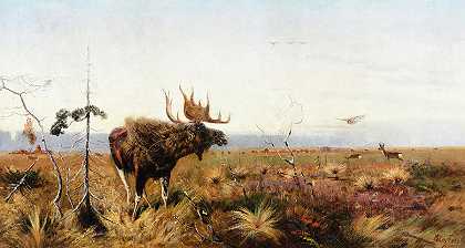 公驼鹿`Bull Moose by Richard Friese