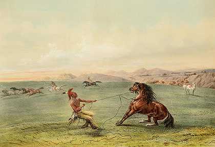 抓住野马`Catching the Wild Horse by George Catlin