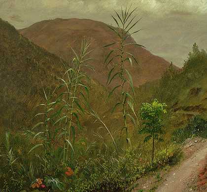 野生甘蔗，牙买加，1865年`Wild Sugar Cane, Jamaica, 1865 by Frederic Edwin Church