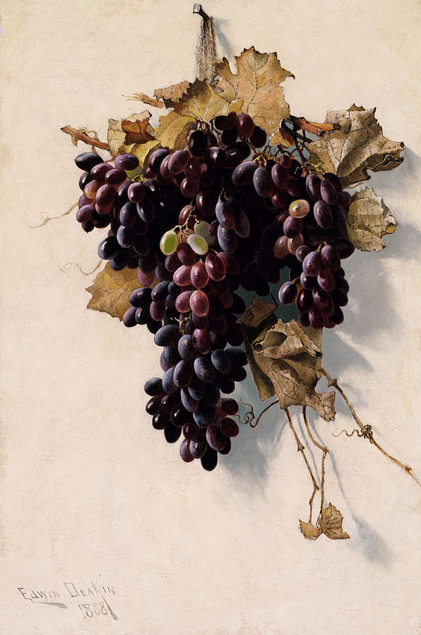 AF-Still Life with Grapes, 1888