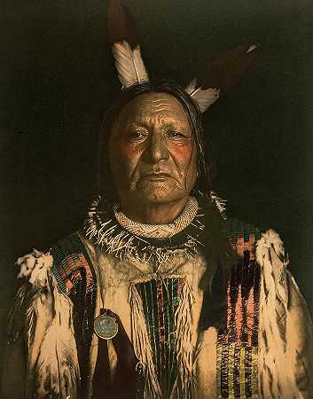 不害怕Pawnee Yanktonai苏族首领`Not Afraid of the Pawnee-Yanktonai Sioux Chief by De Lancey Gill