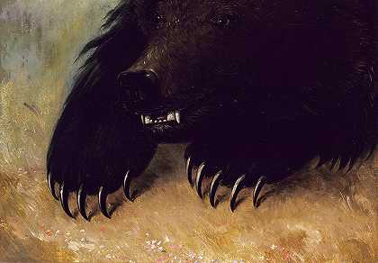 《灰熊的武器和相貌》，1848年`Weapons and Physiognomy of the Grizzly Bear, 1848 by George Catlin