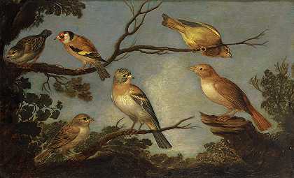 树枝上的鸟`Birds on the Branches of a Tree by Jan van Kessel