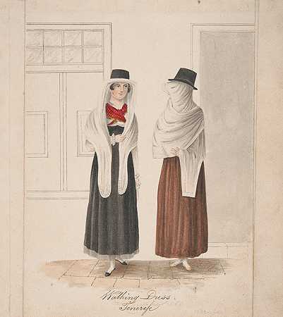步行装，特内里夫`Walking Dress, Tenerife (1824) by Alfred Diston