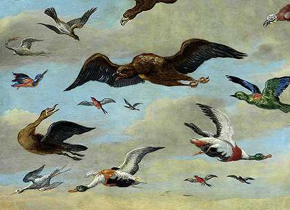 蓝天上的鸟类研究`Bird Studies on Blue Sky by Jan van Kessel