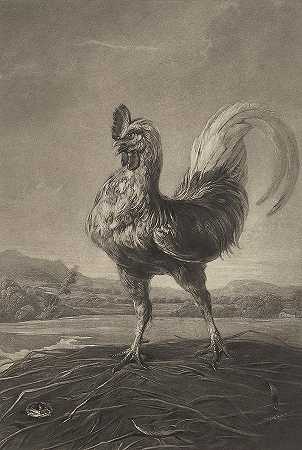 公鸡和珍珠`The Cock And the Pearl by Peter Paul Rubens