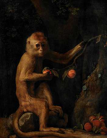 猴子，1799年`A Monkey, 1799 by George Stubbs
