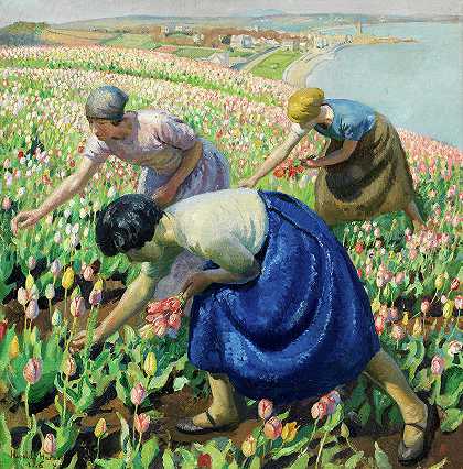 郁金香采摘者，1926年`Tulip pickers, 1926 by Harold Harvey