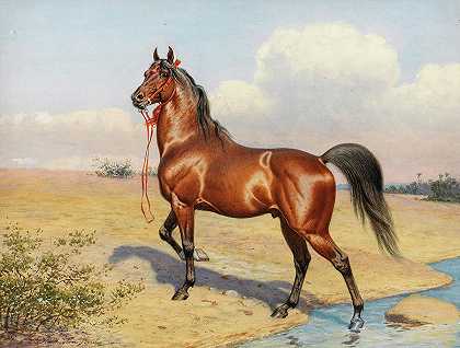 绿洲边的阿拉伯马`Arab horse by an oasis by John Alexander Harington Bird