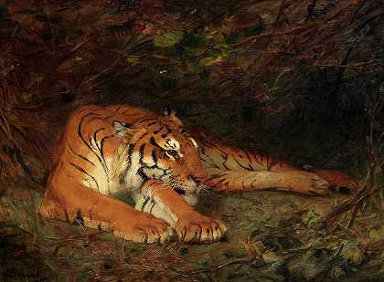 卧虎`Recumbent Tiger by Gustave Surand