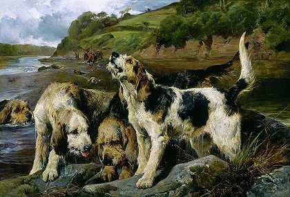 水獭狩猎，关于气味，1881年`Otter Hunting, On the Scent, 1881 by John Sargent Noble