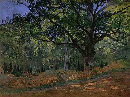 波德默橡树，枫丹白露森林，1865年`Bodmer Oak, Fontainebleau Forest, 1865 by Claude Monet