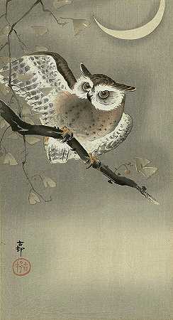 猫头鹰，1930年`Owl, 1930 by Ohara Koson