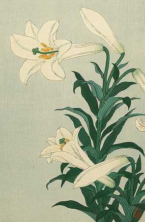 百合花，1930年`Lilies, 1930 by Ohara Koson