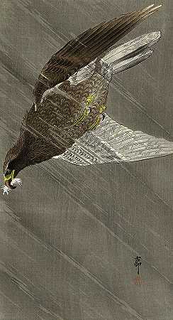 鹰，1930年`Eagle, 1930 by Ohara Koson