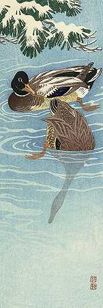 1936年，水中的两只野鸭`Couple wild ducks in the water, 1936 by Ohara Koson