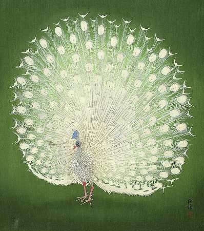 孔雀，1930年`Peacock, 1930 by Ohara Koson