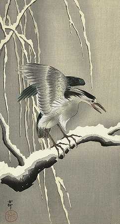 1930年，在一根白雪覆盖的树枝上醒来`Wake up on a snowy branch, 1930 by Ohara Koson