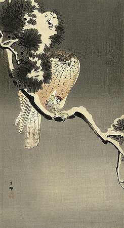 鹰与麻雀，1930年`Hawk with sparrow, 1930 by Ohara Koson