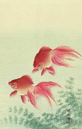 两只脉尾金鱼，1936年`Two veiltail goldfish, 1936 by Ohara Koson