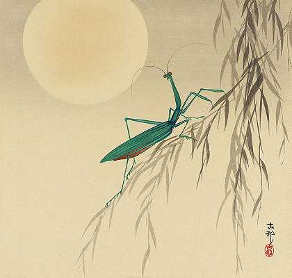 螳螂，1936年`Praying mantis, 1936 by Ohara Koson