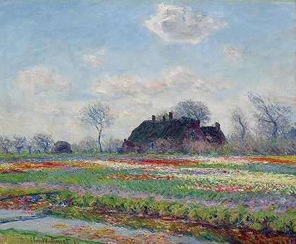 萨森海姆郁金香园，1886年`Tulip Fields at Sassenheim, 1886 by Claude Monet
