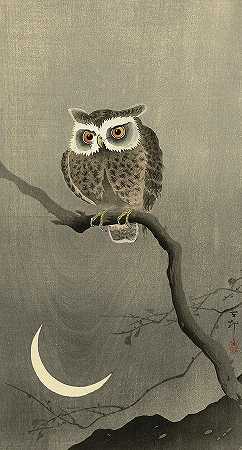 光秃秃树枝上的长耳猫头鹰，1930年`Long-eared owl on bare tree branch, 1930 by Ohara Koson