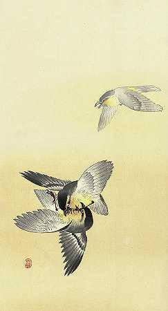 1936年的《两只斗鸟》`Two fighting birds, 1936 by Ohara Koson