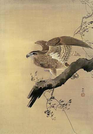 鹰`Hawk by Ohara Koson