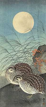 1936年满月时两只鹌鹑`Two quail at full moon, 1936 by Ohara Koson