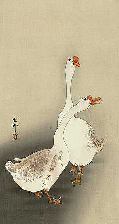 两只鹅，1930年`Two geese, 1930 by Ohara Koson