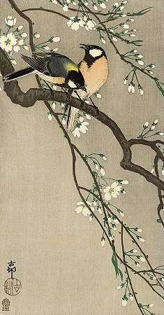 花枝上的大山雀，1910年`Great tits on blossom branch, 1910 by Ohara Koson