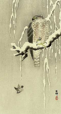 鹰与圈养环麻雀，1930年`Hawk with captive ring sparrow, 1930 by Ohara Koson