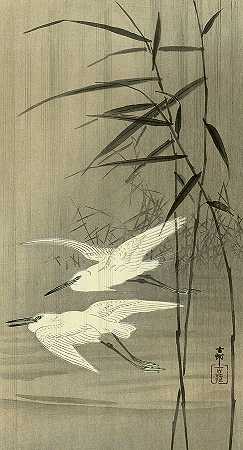 飞行中的两只白鹭，1936年`Two Egrets in Flight, 1936 by Ohara Koson