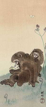 两只猴子和一只蝴蝶，1945年`Two monkeys with a butterfly, 1945 by Ohara Koson