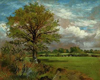 草地上的树，1850年`Tree in a Meadow, 1850 by Lionel Bicknell Constable
