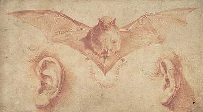 一只蝙蝠和两只耳朵`A Bat and Two Ears by Jusepe de Ribera
