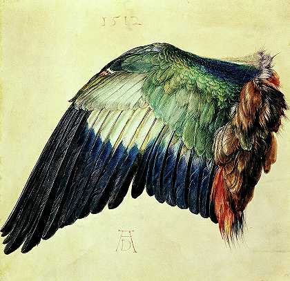 1512年绘制的蓝色滚筒的机翼`Wing of a Blue Roller, Painted in 1512 by Albrecht Durer