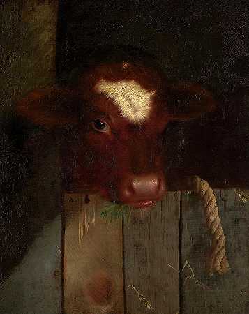 家里的牛，小牛的头`The Family Cow, Calf\’s Head by William Merritt Chase