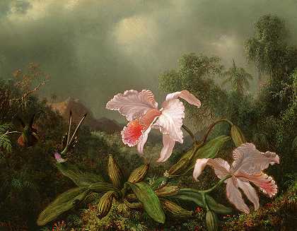 丛林兰花和蜂鸟，绘制于1872年`Jungle Orchids and Hummingbirds, Painted in 1872 by Martin Johnson Heade