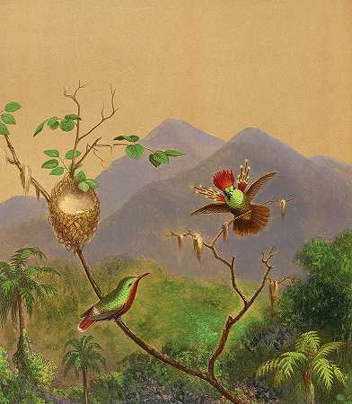 巴西蜂鸟III`Brazilian Hummingbirds III by Martin Johnson Heade