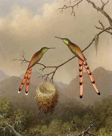 两只蜂鸟和它们的幼崽，1865年`Two Hummingbirds with Their Young, 1865 by Martin Johnson Heade